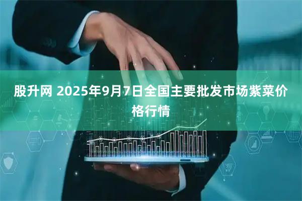 股升网 2025年9月7日全国主要批发市场紫菜价格行情