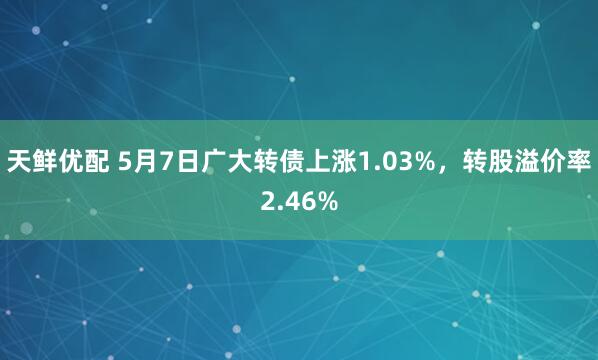 天鲜优配 5月7日广大转债上涨1.03%，转股溢价率2.46%