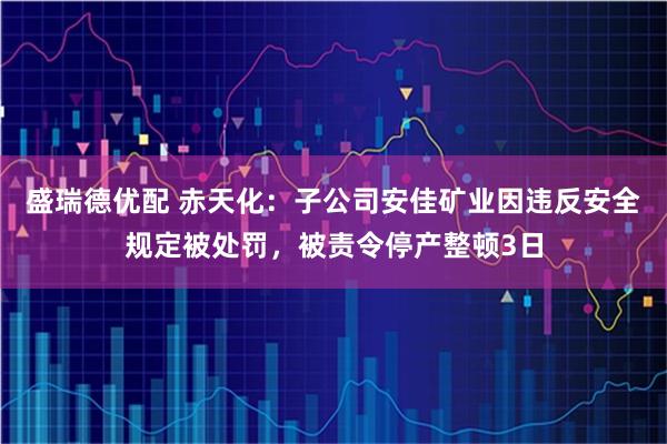 盛瑞德优配 赤天化：子公司安佳矿业因违反安全规定被处罚，被责令停产整顿3日