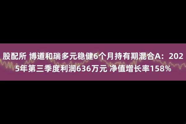 股配所 博道和瑞多元稳健6个月持有期混合A：2025年第三季度利润636万元 净值增长率158%
